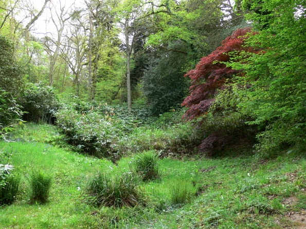 Bois des Moutiers (132) Mai 2012